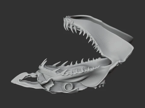 Great White Shark Skull 3D Model