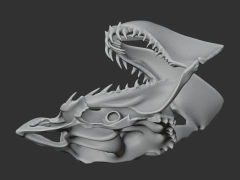Great White Shark Skull 3D Model