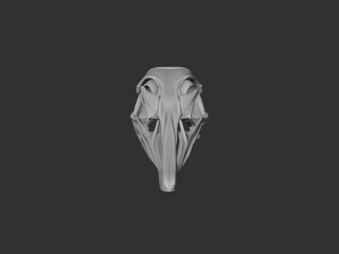 Greater Rhea Skull 3D Model