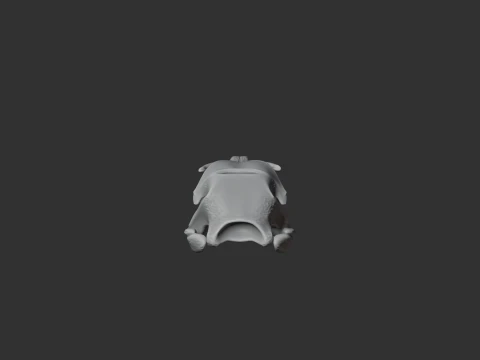Greater Rhea Skull 3D Model