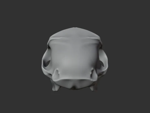 Hamadryas Baboon Skull 3D Model