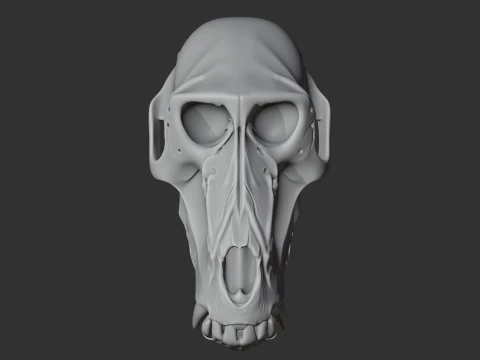 Hamadryas Baboon Skull 3D Model
