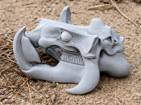 Hippidion Skull 3D 模型