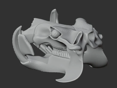 Hippidion Skull 3D Model
