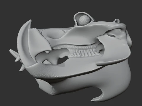 Hippidion Skull 3D Model