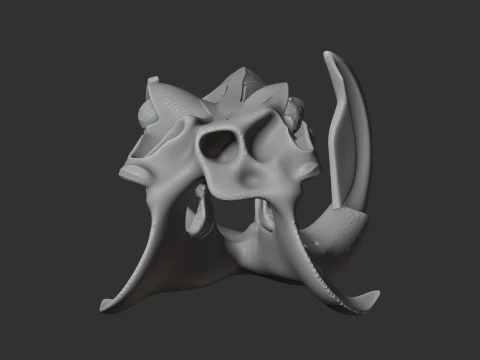 Hippidion Skull 3D Model