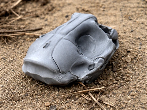 Hooded Seal Skull 3D Modell