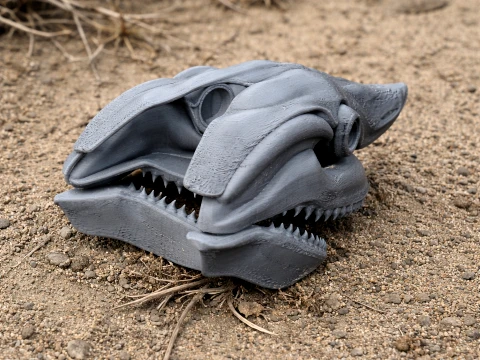 Horn Shark Skull Model 3D