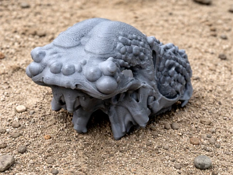 Aachenosaurus Skull 3D 모델