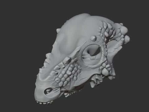 Aachenosaurus Skull 3D Model