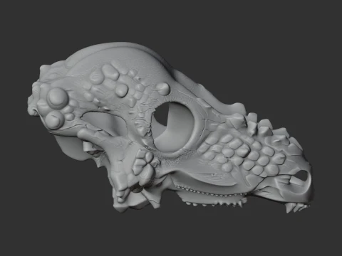 Aachenosaurus Skull 3D Model