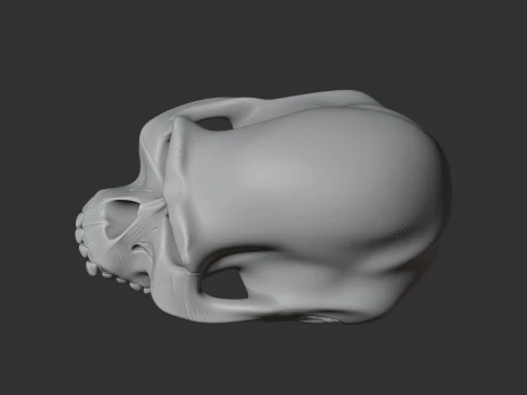 Albertonykus Skull 3D Model