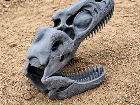 Albisaurus Skull 3D Model