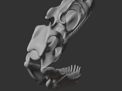 Albisaurus Skull 3D Model