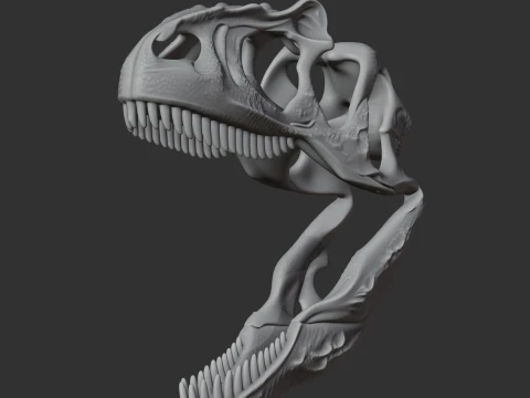 Albisaurus Skull 3D Model