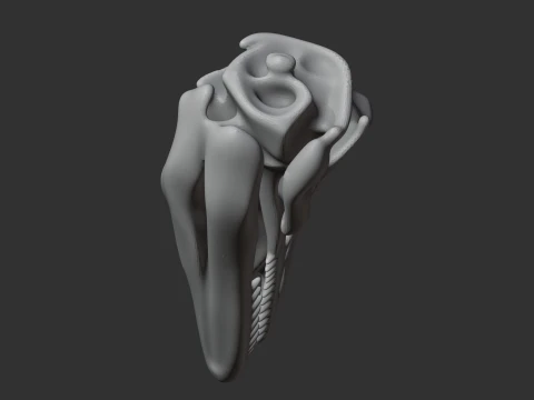 Ambopteryx Skull 3D Model