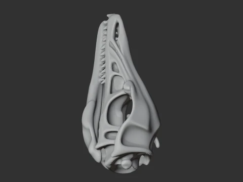 Ambopteryx Skull 3D Model
