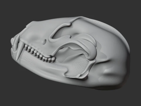 Ankistrodon Skull 3D Model