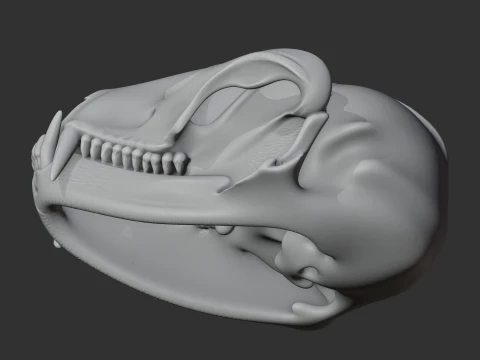 Ankistrodon Skull 3D Model