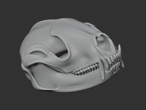 Ankistrodon Skull 3D Model