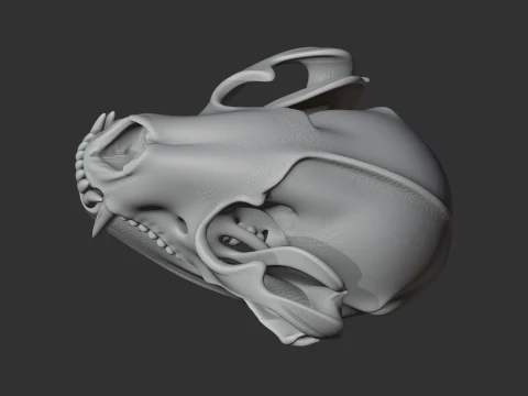 Ankistrodon Skull 3D Model