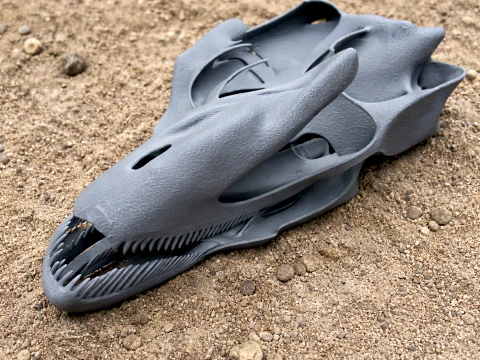 Antrodemus Skull 3D 모델