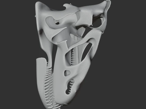 Antrodemus Skull 3D Model