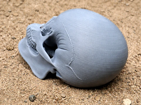 Aorun Skull 3D Model