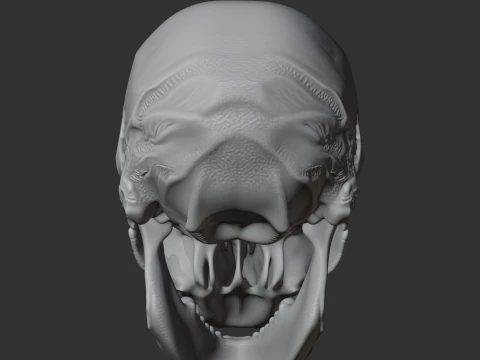 Aristosuchus Skull 3D Model
