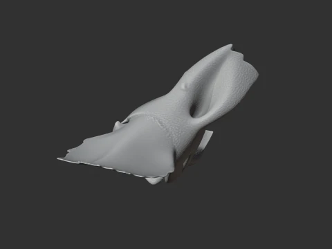 Avaceratops Skull 3D Model
