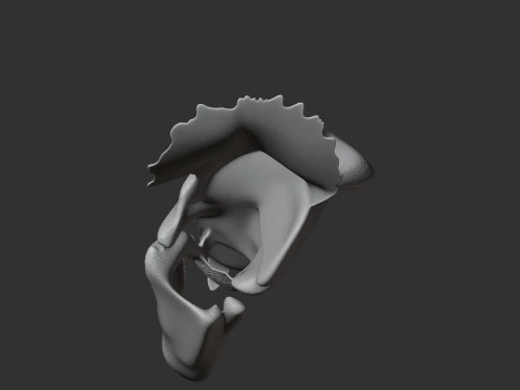 Avaceratops Skull 3D Model