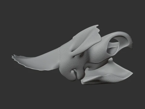 Avaceratops Skull 3D Model