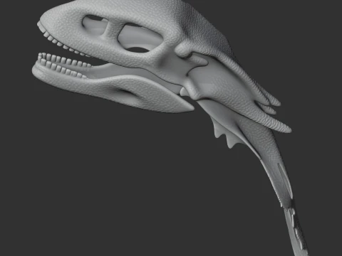Chilesaurus Skull 3D Model