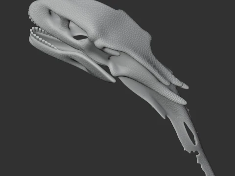 Chilesaurus Skull 3D Model