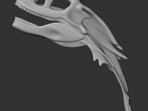 Chilesaurus Skull 3D Model