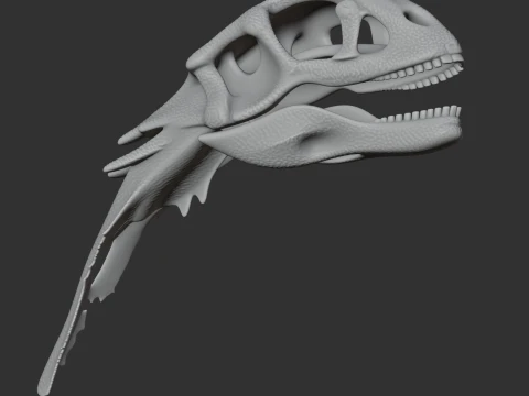 Chilesaurus Skull 3D Model