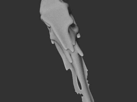 Chilesaurus Skull 3D Model
