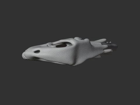 Chilesaurus Skull 3D Model