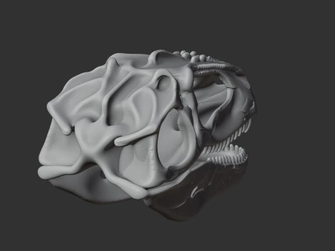 Gigantosaurus Skull 3D Model