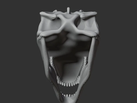 Gigantosaurus Skull 3D Model