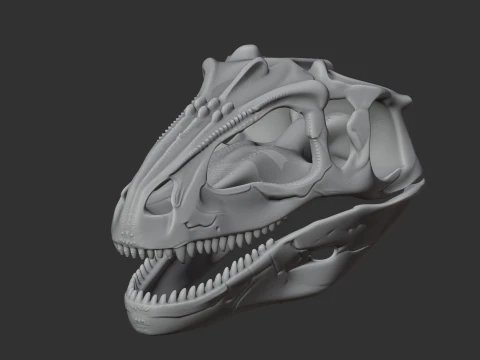 Gigantosaurus Skull 3D Model