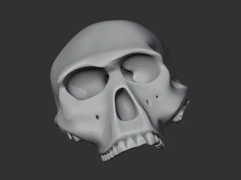 Homo Habilis Skull 3D Model