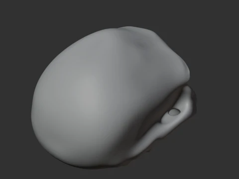 Homo Habilis Skull 3D Model