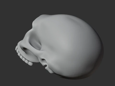 Homo Habilis Skull 3D Model