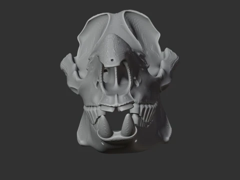Javan Rhinoceros Skull 3D Model
