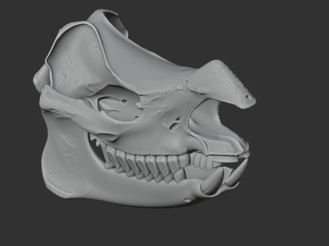 Javan Rhinoceros Skull 3D Model