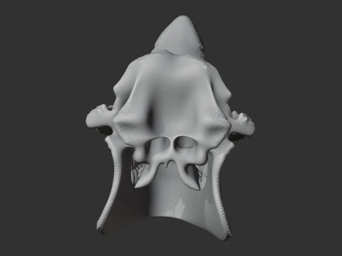 Javan Rhinoceros Skull 3D Model