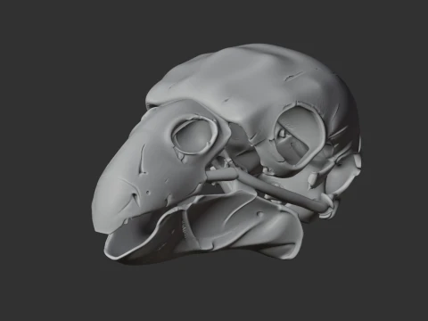Kaka Skull 3D Model