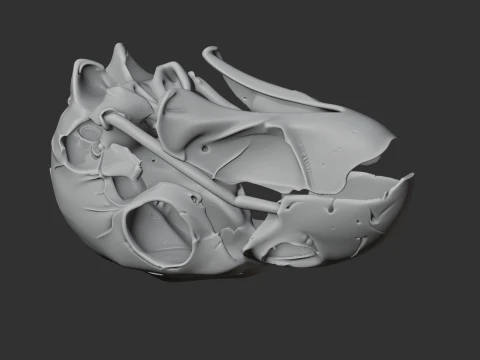 Kaka Skull 3D Model