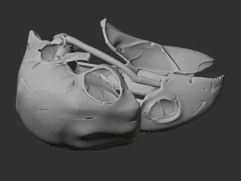 Kaka Skull 3D Model